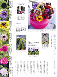 宮崎の花に会いたい！