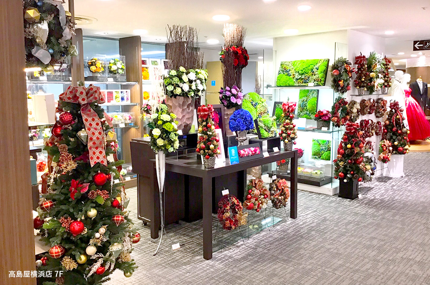 クリスマス展開スタート
