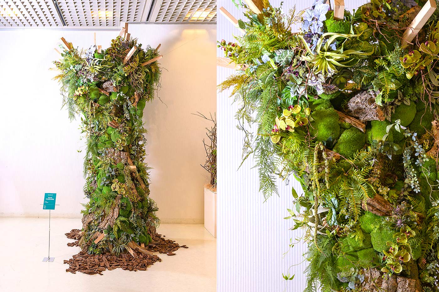 2022デザイン展 FLOWER MUSEUM